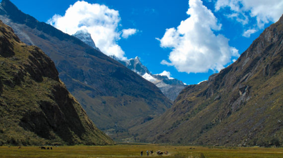 Santa Cruz, ascent to Taullipampa